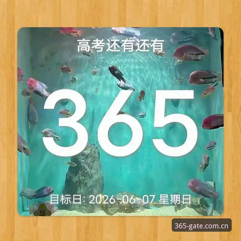 2026best365最新活动 资深技术评测员实测分享:2026best365最新活动使用心得与登录方案对比分析